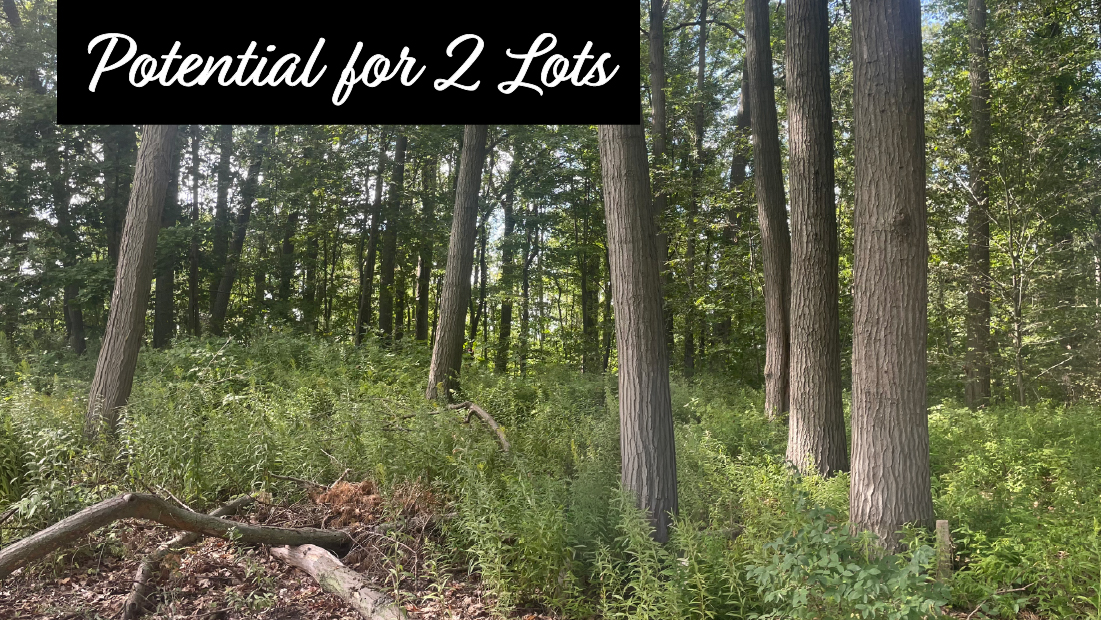 potential for 2 lots banner with vacant lot flag on w/s firelane 3 port colborne for sale by frank ruzycki real estate